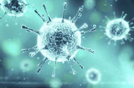 Microscopic view of several virus particles with spiky protrusions on a blurred teal background.