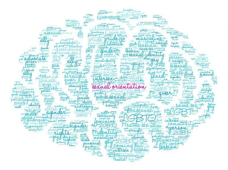 A word cloud in the shape of a brain with the phrase "sexual orientation" in pink at the center, surrounded by various related terms in blue.