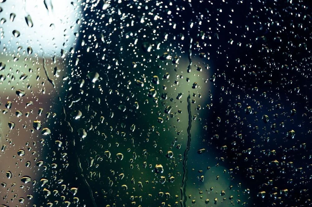 Raindrops on a windowpane with a blurred outdoor background.